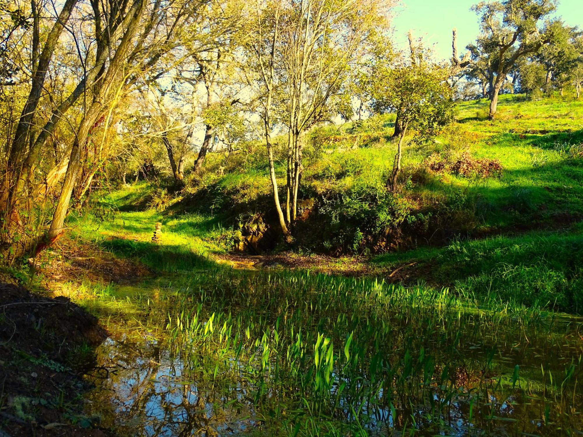 Herdade Vale De Gaios By Stay In Alentejo Сан-Луиш Экстерьер фото